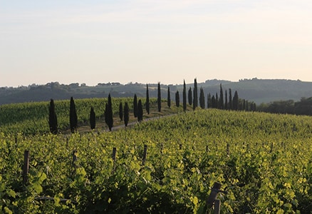 Producer Location Map